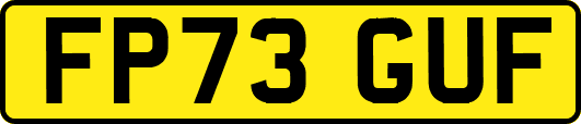 FP73GUF