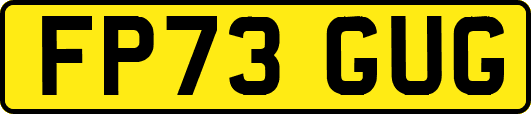 FP73GUG