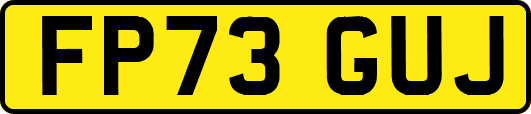 FP73GUJ