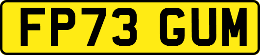 FP73GUM