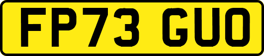 FP73GUO