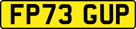 FP73GUP