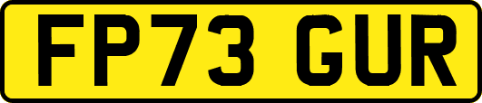 FP73GUR