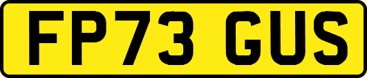 FP73GUS