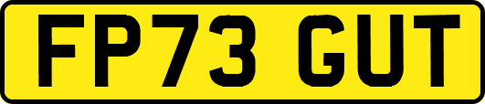 FP73GUT