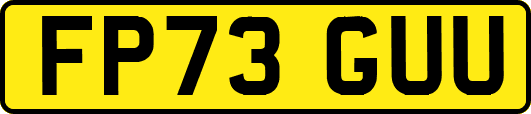 FP73GUU