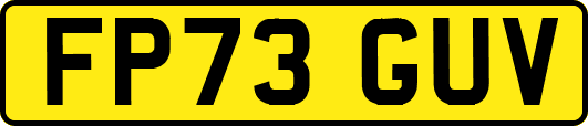 FP73GUV