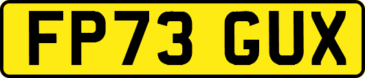 FP73GUX