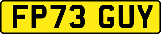 FP73GUY