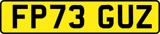 FP73GUZ