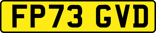 FP73GVD