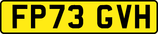 FP73GVH