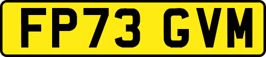 FP73GVM