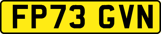 FP73GVN