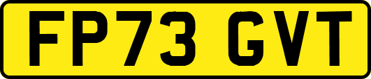 FP73GVT