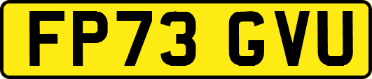 FP73GVU