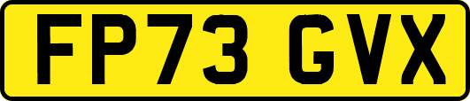 FP73GVX