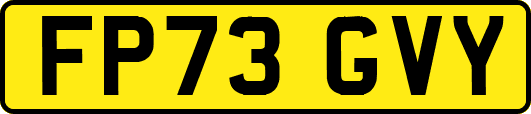 FP73GVY