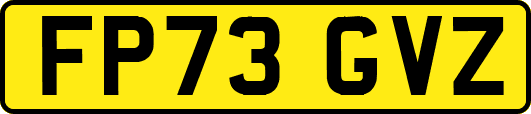 FP73GVZ