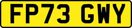 FP73GWY