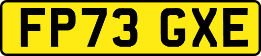 FP73GXE