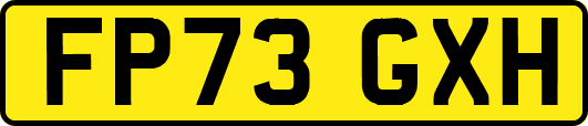 FP73GXH