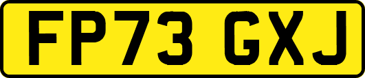 FP73GXJ