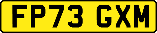 FP73GXM