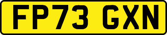 FP73GXN