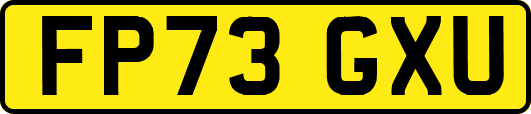 FP73GXU