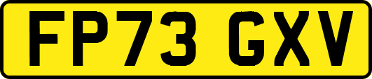 FP73GXV