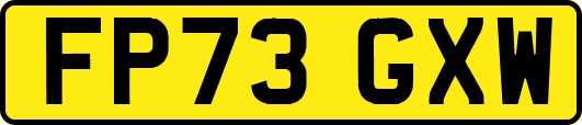 FP73GXW