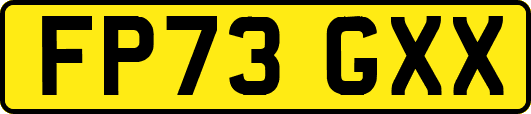 FP73GXX