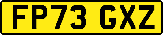 FP73GXZ