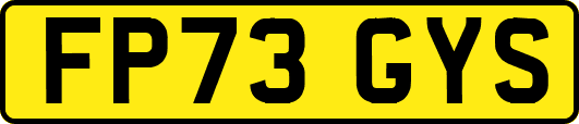 FP73GYS