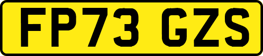 FP73GZS