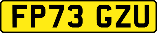 FP73GZU