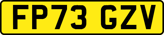 FP73GZV