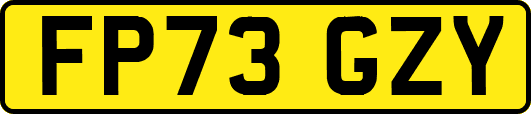 FP73GZY