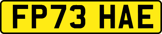 FP73HAE