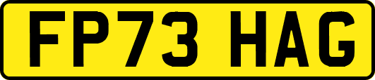 FP73HAG