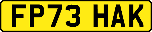 FP73HAK