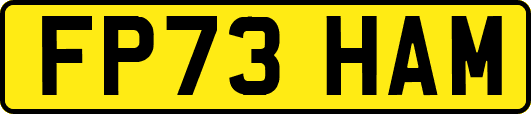 FP73HAM