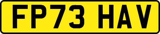 FP73HAV