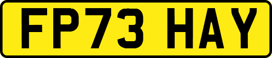 FP73HAY
