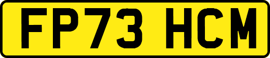 FP73HCM