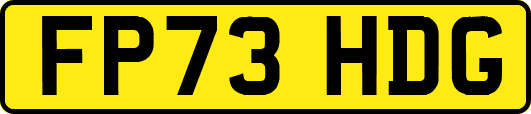 FP73HDG