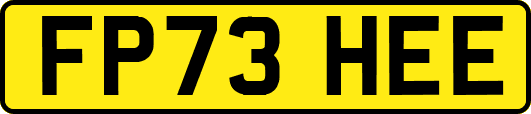 FP73HEE