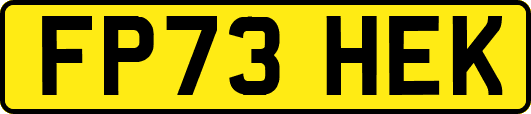 FP73HEK