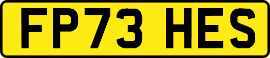 FP73HES